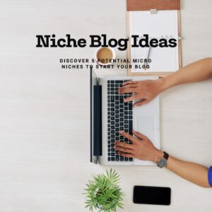 5 Potential Micro Niche Blog Ideas