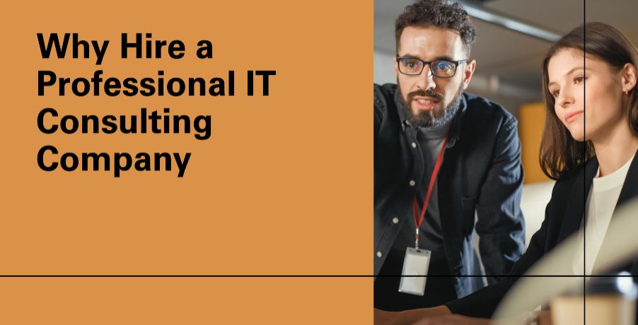 Why do you need to hire a professional IT Consulting Company