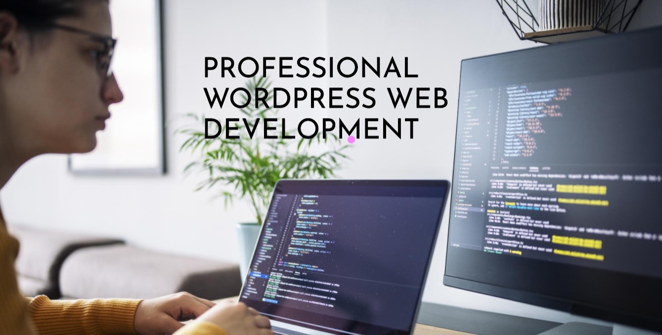 Security Best Practices For Offshore WordPress Web Development